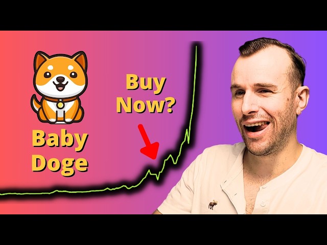 Why Baby Doge is up ⚠ Crypto Token Analysis