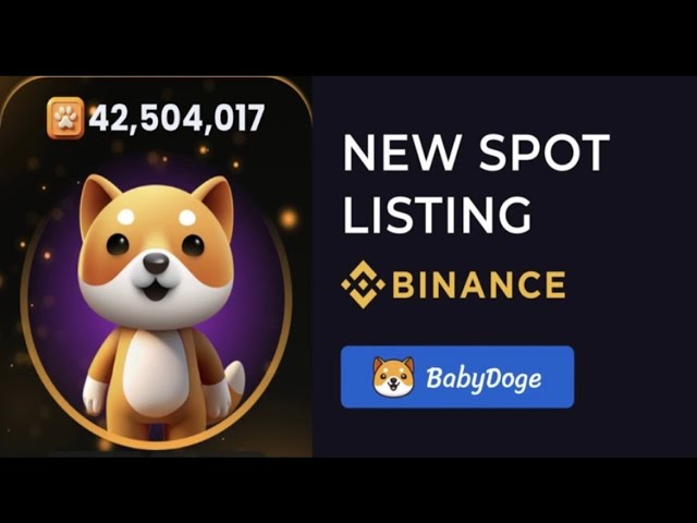 Baby doge Airdrop | Baby doge coin Binance Listing