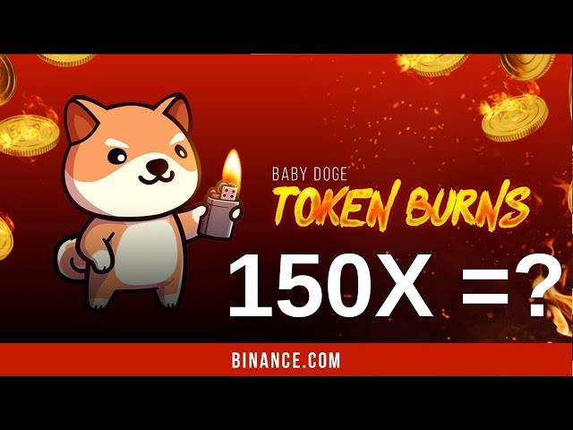 Baby Doge Coin Listed on Binance at the Last Minute