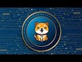 Baby Doge Coin: The Next Big Meme Crypto? #crypto #dogecoin #babydogecoin