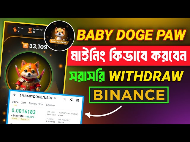 Baby DOGE Paws Airdrop | Baby Doge Paws Binance Listing & Withdrawal Updates | Baby Doge Daily Combo