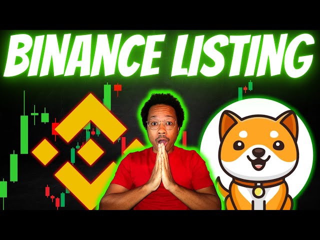 Baby Doge FINALLY LISTED On BINANCE | More PUMPS To Come