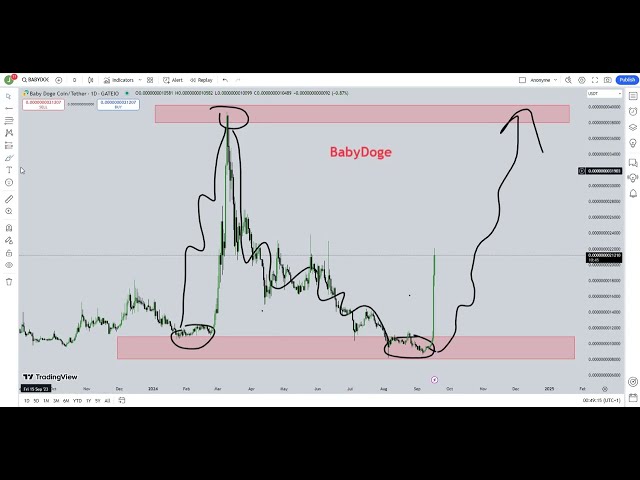 Baby Doge Coin (BabyDoge)  Crypto Price Prediction