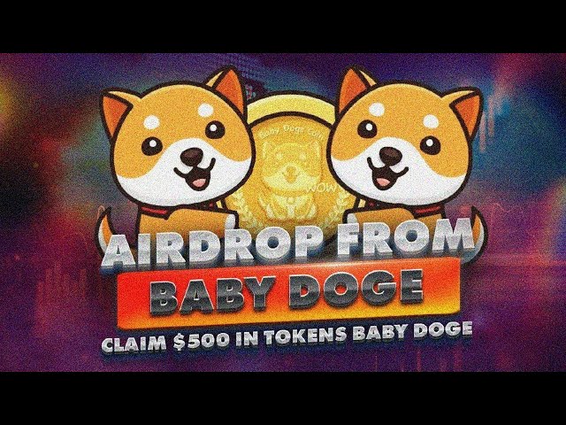 BabyDoge token is listing on Binance! Airdrop guide for 2024