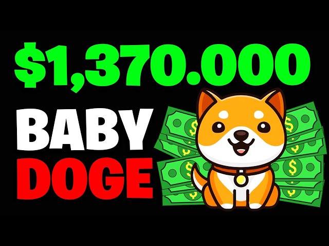 🔥 BABY DOGE COIN 228%! ARE WHALES COMING BACK?