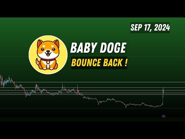 BabyDoge coin ( BabyDoge ) price prediction | Baby Doge Crypto Bounce back?  Sep 17, 2024