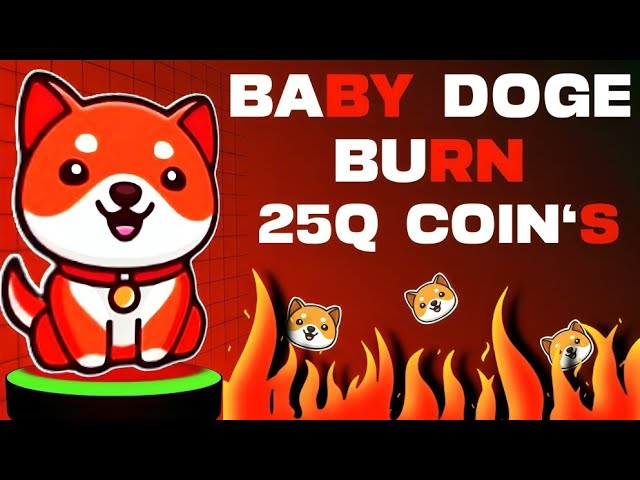 $25 Quadrillion Burn| Baby dogecoin news today hindi | Baby doge price prediction |