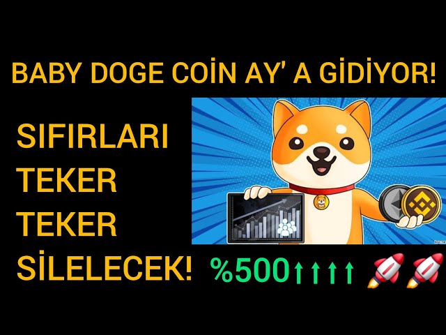 BABY DOGE COIN RALLY CONTINUES! BABY DOGE COIN ERASES ZEROES! BABYDOGE COIN BREAKING NEWS!