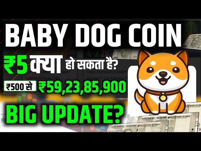 Baby DOG COIN ₹500 ka ₹ 5 Lakh || DOG COIN Big Update || DOGE COIN.