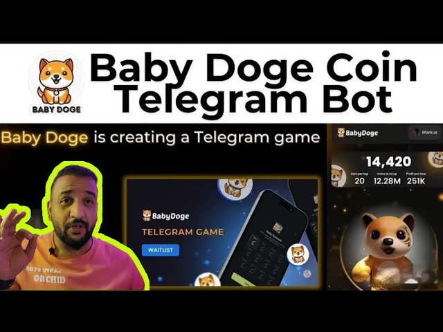 Baby Doge: The Airdrop That Could Change Everything