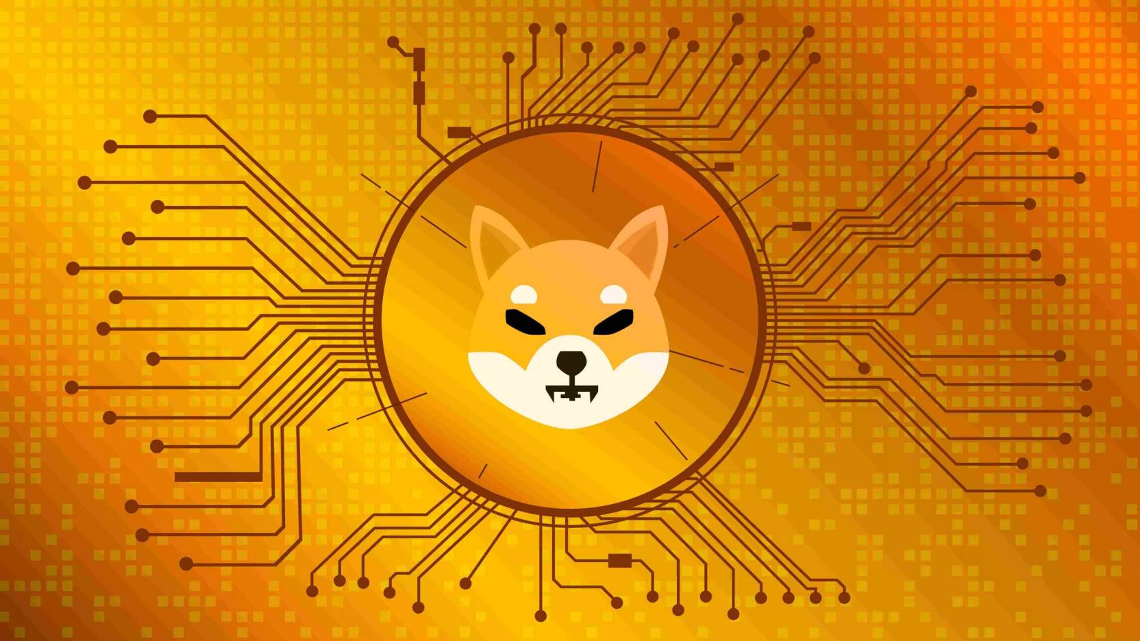 FACT: Will Shiba Inu Coin reach $1 during the next Bullrun?