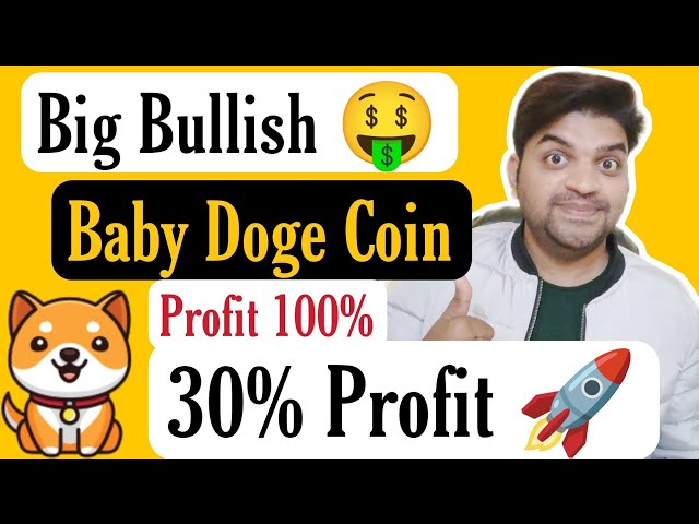 Big Bullish 🤑 | Baby Doge Coin 30% Profit | Baby Doge Coin