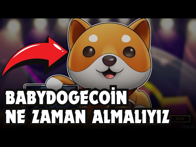 BABYDOGECOIN RISE BEGINS! BABY DOGE COIN ANALYSIS! WHEN SHOULD WE BUY IT?