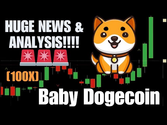 Babydoge Next 100X Coin? 💥 Price Prediction 2024 and beyond 🔥