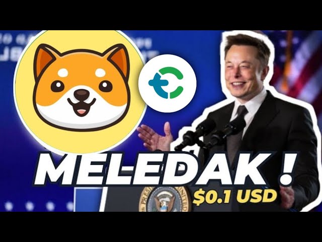 MELEDDDDAAAAK !! BABY DOGE COIN Resmi Listing TOKOCRYPTO !!