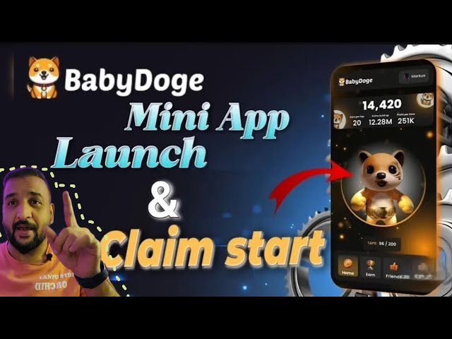 Is Baby Doge Airdropping Your Next Lambo?