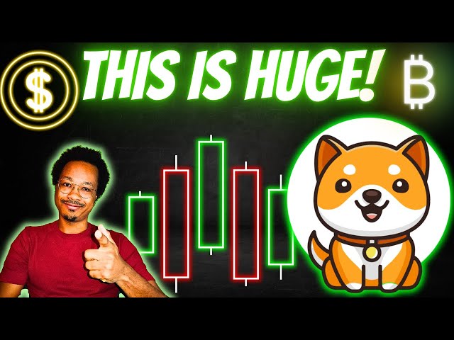 TOP 3 Baby Doge BULLISH Updates For This BULL RUN