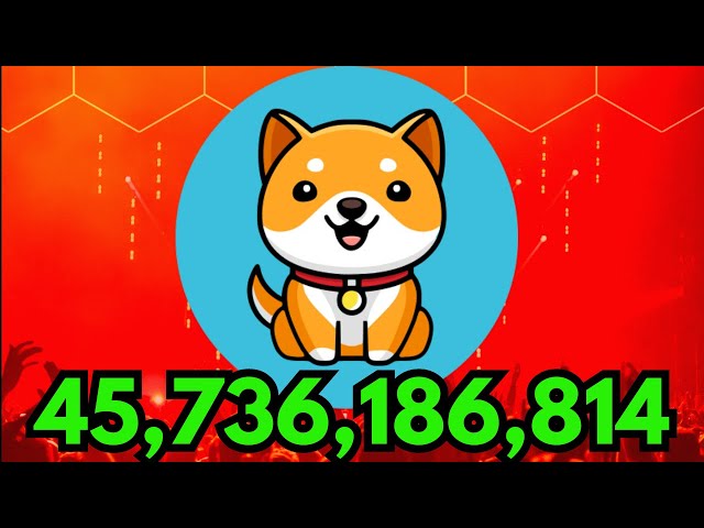 YOU ONLY NEED 45B BABY DOGE COIN! LOOK AT THIS