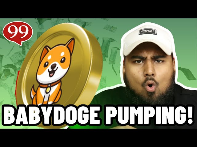 BABYDOGE COIN LISTED ON BINANCE!!! MASSIVE PUMP INCOMING!!!