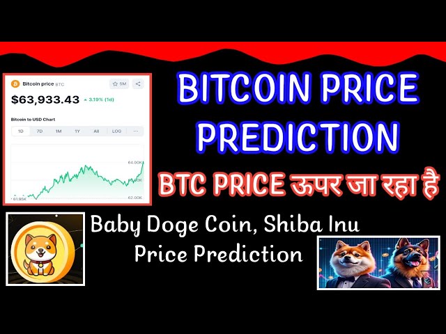 Bitcoin price prediction|Baby Doge Coin News Today|Shiba Inu Coin News Today|Crypto News Uncut