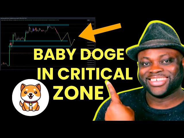 Baby Doge Coin In A CRITICAL ZONE: [WHAT TO DO NEXT]