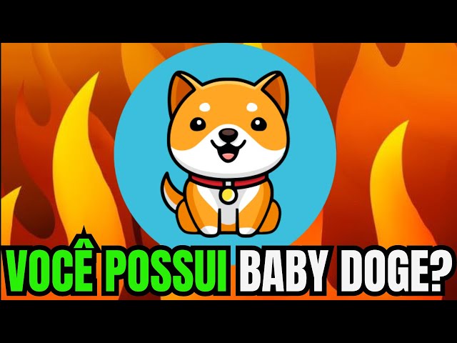 IF YOU HAVE BABY DOGE COIN KNOW THIS NOW AND DREAM BIG!