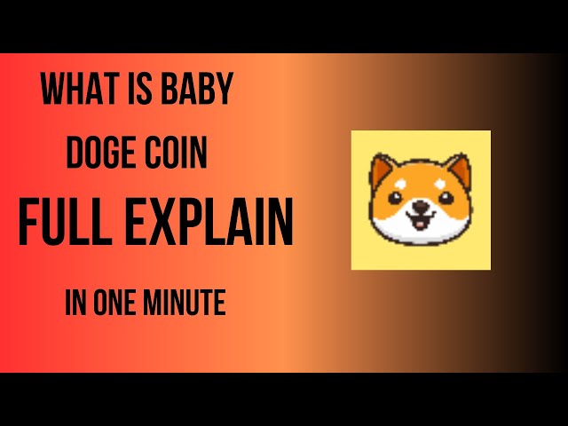 What is Baby Doge Coin ? Full explain.