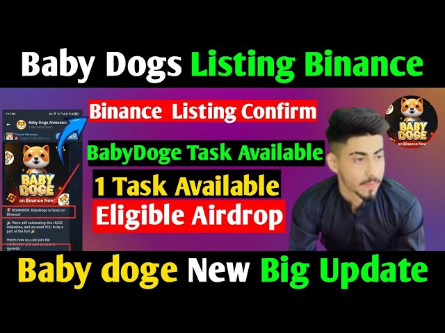 Baby doge Listing Binance|| BabyDoge listing Listing date || Baby Doge Airdrop New Update Today