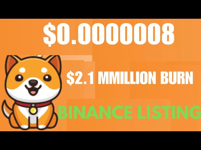 Baby Dogecoin News Today | $2.1 Million Burn | BabyDoge Coin Price Pump 100x | Binance Listing