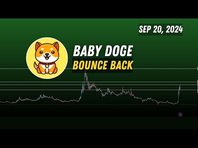 BabyDoge coin ( BabyDoge ) price prediction | Baby Doge crypto next pump?1mbabydoge Sep 20, 2024