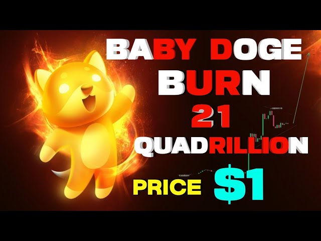 $21.1 Quadrillion Burn | Baby dogecoin news today hindi | Baby doge price prediction |