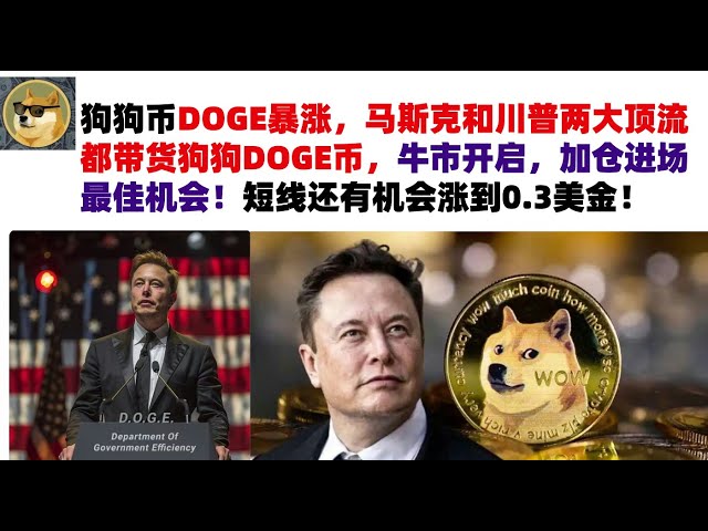 Dogecoin DOGE has skyrocketed. Musk and Trump, the two top figures, are carrying Dogecoin DOGE. The bull market has begun, and it is the best opportunity to add positions! There is still a chance to rise to 0.3 US dollars in the short term! Musk’s Dogecoi