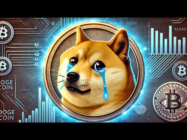 DOGECOIN HOLDERS: ARE YOU AWARE?! (WARNING) - Doge Price Prediction (Meme Coin)