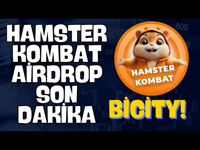 WHAT IS THE CONDITION OF HAMSTER KOMBAT AIRDROP --- BICITY COIN ANALYSIS #hamsterkombat #bicity