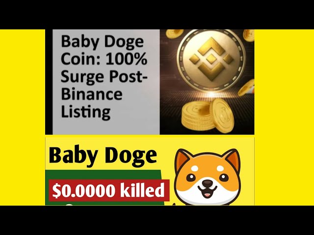 Baby doge killed 4 ziro #viralvideo #babydogecoin