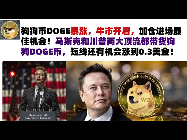 Dogecoin DOGE surges, the bull market has begun, the best opportunity to add positions and enter the market! Both Musk and Trump are carrying DOGE coins, and there is a chance that the price will rise to 0.3 US dollars in the short term! Musk’s Dogecoin |