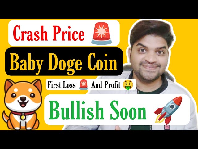 Crash 🚨 | Baby Doge Coin Sell High | Baby Doge Coin