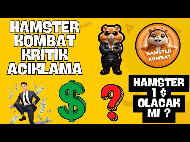 HAMSTER KOMBAT 1 DOLLAR YOUR OLUR? HAMSTER COİN #hamsterkombat #bicity