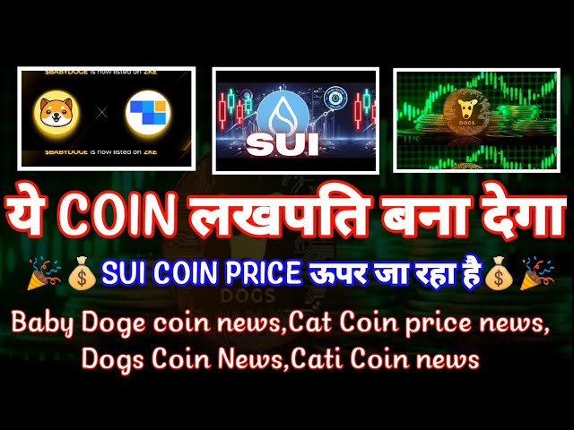 BABY DOGE COIN NEWS|SUI COIN NEWS|CATI COIN UPDATE|DOGS COIN NEWS|SHIBA INU NEWS|Crypto News Uncut