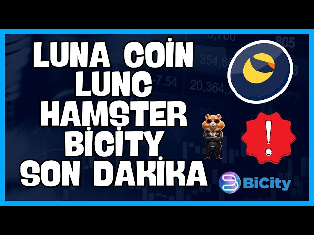 LUNC COİN SON DAKİKA -- HAMSTER KOMBAT KRİTİK DETAYLAR -- BİCİTY #lunc #luna #bicity #hamsterkombat