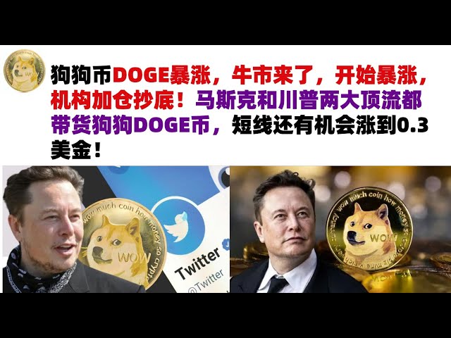 Dogecoin DOGE skyrocketed, the bull market is coming, it started to skyrocket, and institutions added positions to buy the bottom! Both Musk and Trump are carrying DOGE coins, and there is a chance that the price will rise to 0.3 US dollars in the short t