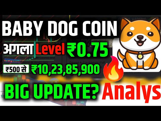 BABYDOGE COIN अगला Level ₹0.75 || Baby Doge coin Update || Babydogcoin.