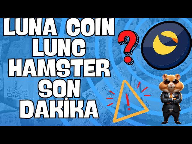 LUNA COIN LUNC BREAKING NEWS --- HAMSTER KOMBAT CRITICAL STATEMENT #bicity #lunc #lunch #hamsterkombat