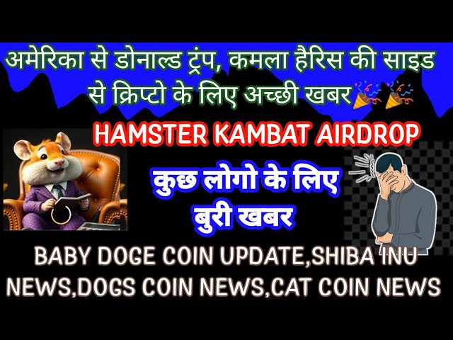 BABY DOGE COIN NEWS|HAMSTER KAMBAT NEWS|CATI NEWS|DOGS NEWS|SHIBA INU NEWS TODAY|Crypto News Uncut