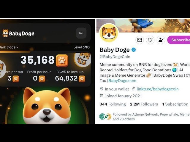 Baby Doge Paws Airdrop ✅✅ Baby Doge Coin Binence Launchpool ✅✅✅ Baby doge Big project ✅✅✅