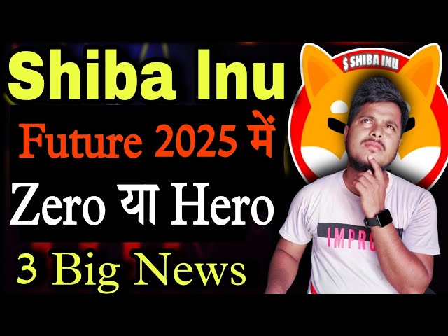 Shiba Inu 💥 Future 2025 में Zero या Hero | Shiba lnu Coin News Today | Price Prediction |Crypto News