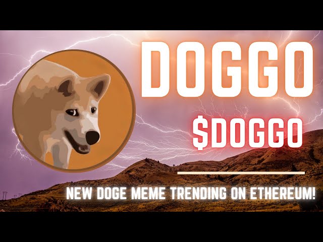 DOGGO | Trending on Dextools 👀 New Doge Meme Token $DOGGO