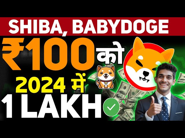 Last Bull Cycle For Meme Coins ? Shiba Inu Coin News Today | Baby Dogecoin News Today