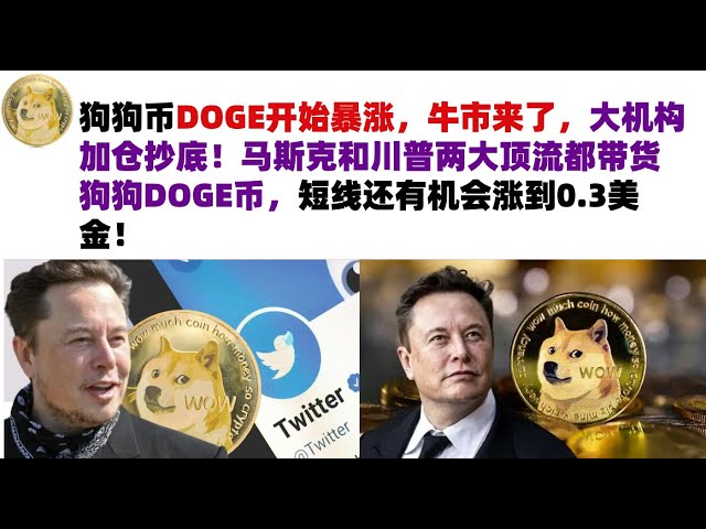 Dogecoin DOGE begins to skyrocket, the bull market is coming, and large institutions are adding positions to buy the bottom! The two top celebrities, Musk and Trump, both carry DOGE coins, and there is a chance that the price will rise to 0.3 US dollars i