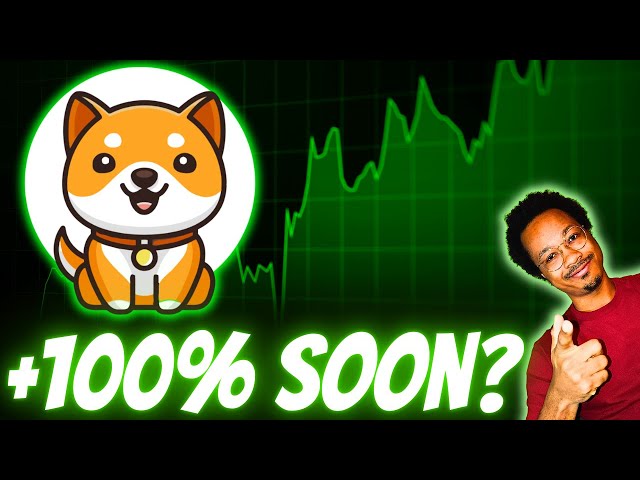 Is BABY DOGE Ready For The NEXT Leg Up?